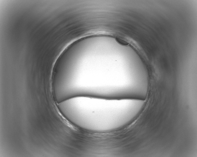 X0000066091236200603100955
