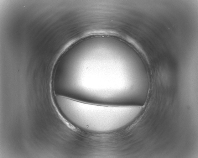 X0000066091237200603100955