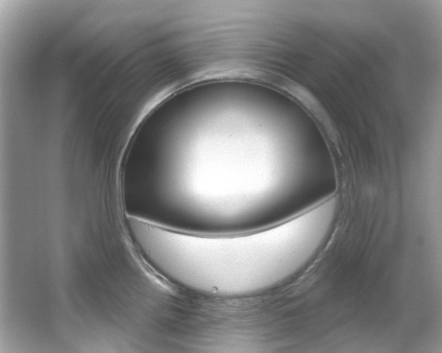X0000066091242200603100955