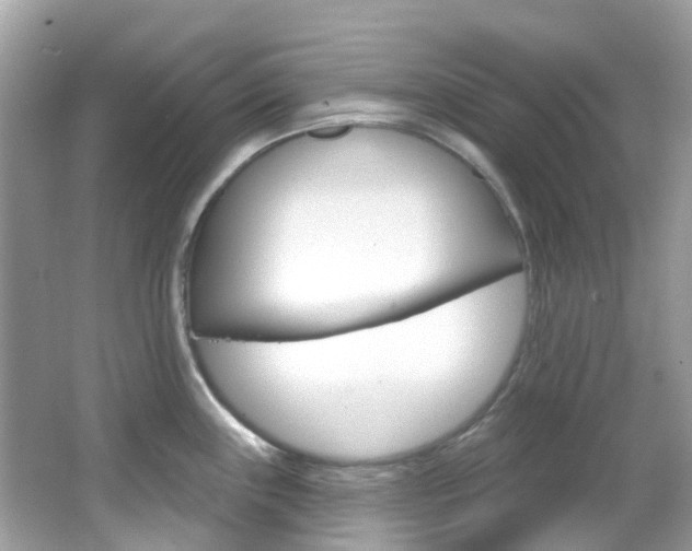 X0000066091243200603100955