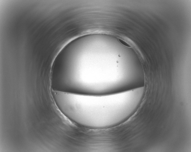 X0000066091244200603100955