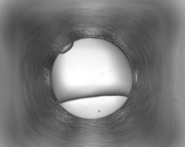 X0000066091251200603100954