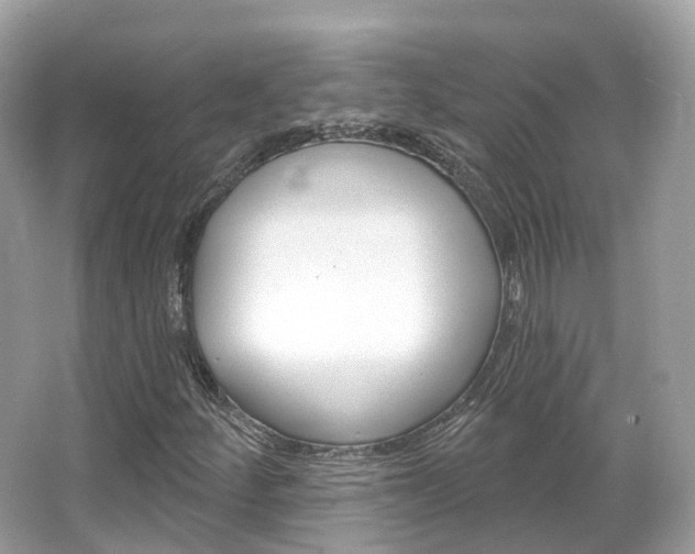 X0000066091252200603100954