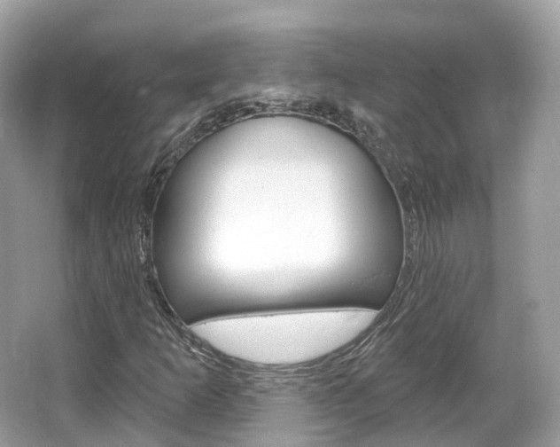 X0000066091253200603100954