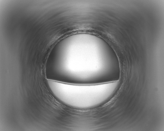 X0000066091257200603100954