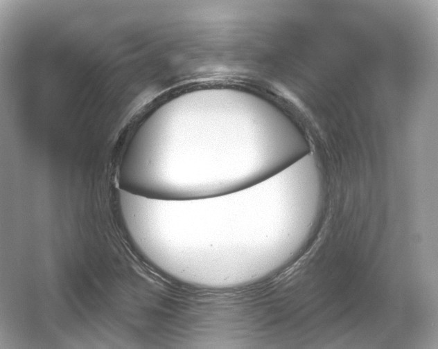 X0000066091259200603100954