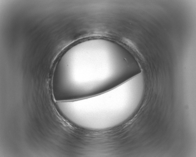 X0000066091260200603100954