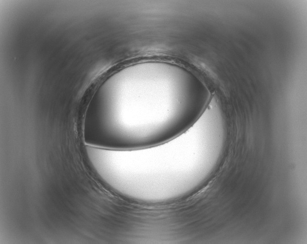 X0000066091261200603100954