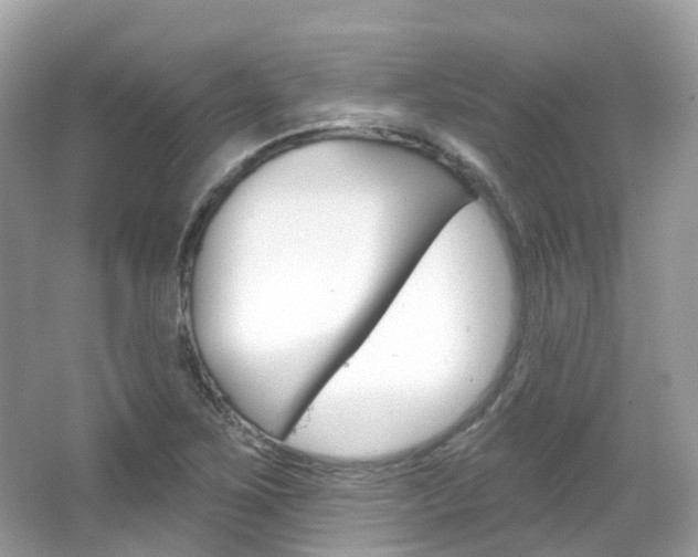 X0000066091267200603100954