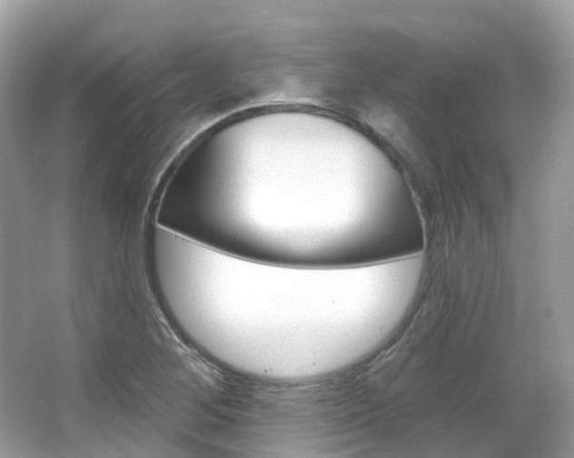 X0000066091268200603100954