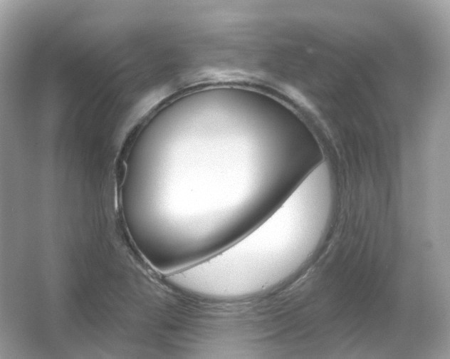 X0000066091269200603100954