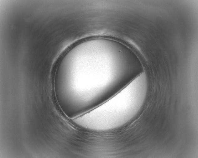 X0000066091270200603100954