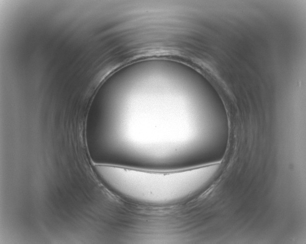 X0000066091273200603100954