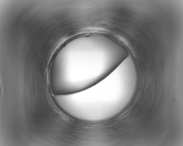 X0000066091275200603100954