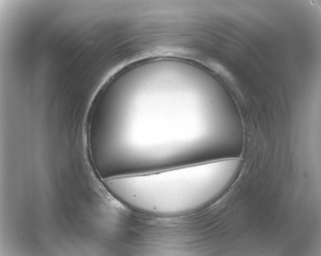 X0000066091280200603100953