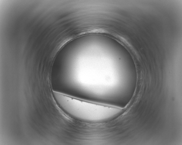 X0000066091281200603100953