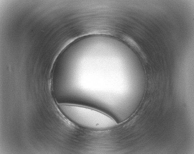 X0000066091284200603100953
