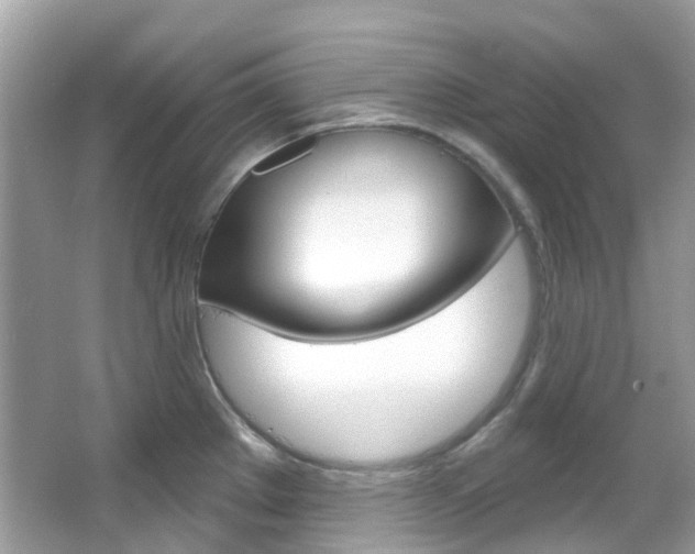 X0000066091289200603100953