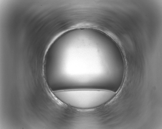 X0000066091296200603100953
