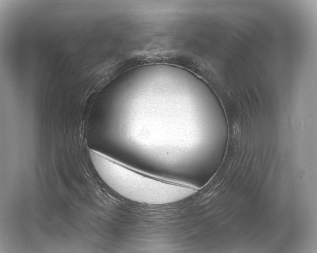 X0000066091300200603100952