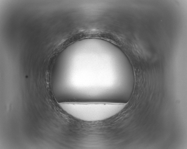 X0000066091301200603100952