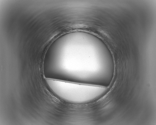 X0000066091305200603100953