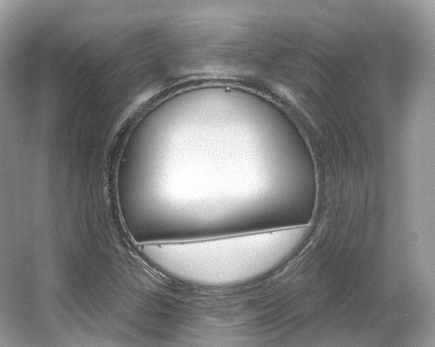 X0000066091307200603100953