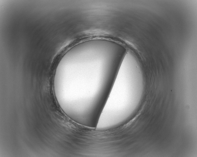 X0000066091309200603100953