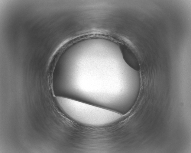 X0000066091310200603100953