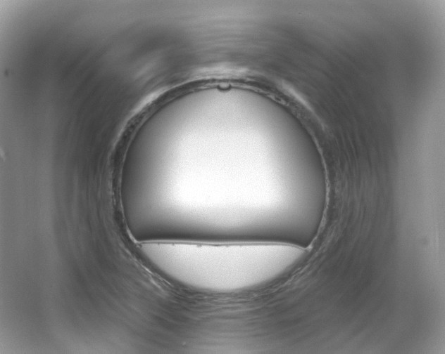 X0000066091315200603100953