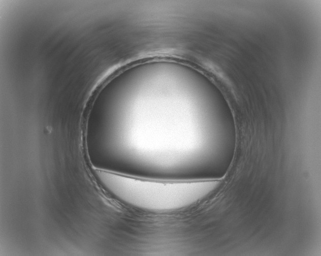 X0000066091316200603100953