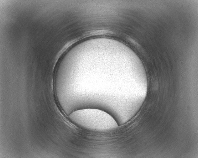 X0000066091322200603100953