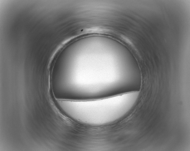 X0000066091323200603100953