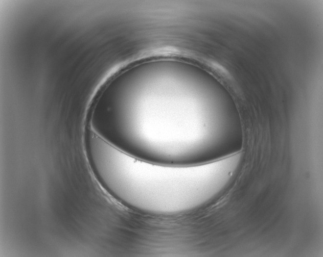 X0000066091326200603100953