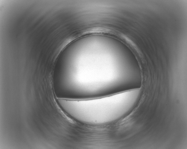 X0000066091329200603100953