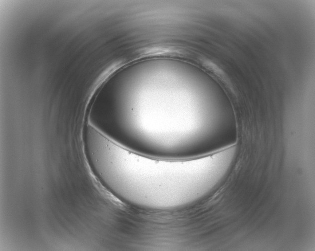 X0000066091330200603100953
