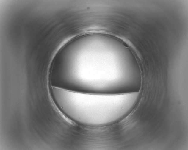 X0000066091333200603100953