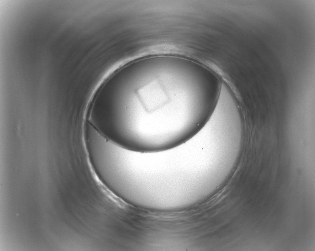 X0000066091342200603100953