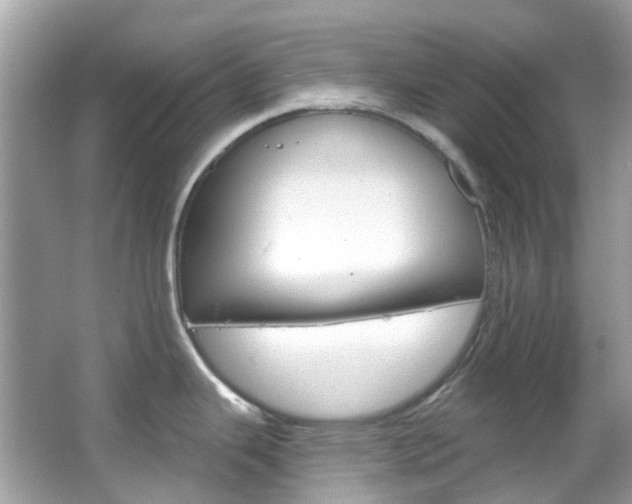 X0000066091343200603100953