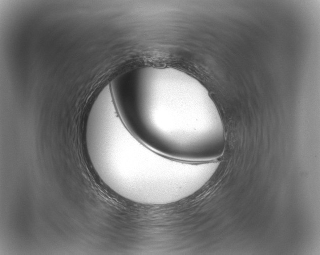 X0000066091345200603100952