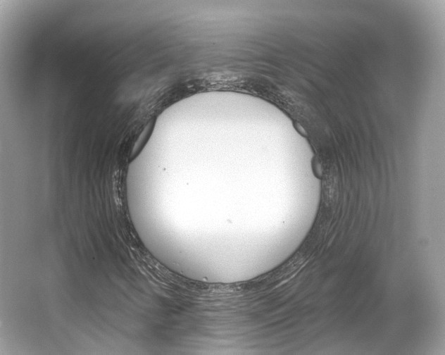 X0000066091346200603100952