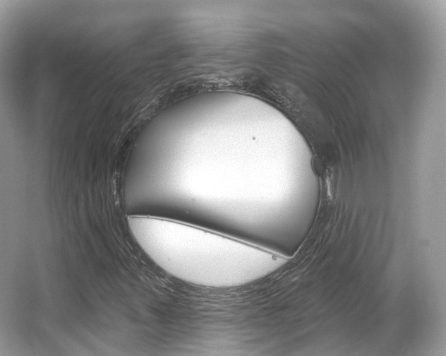 X0000066091347200603100952