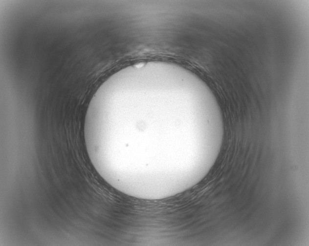 X0000066091348200603100952
