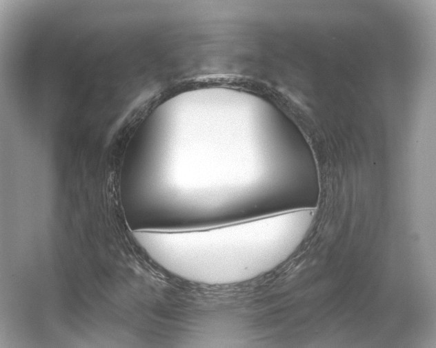 X0000066091351200603100952