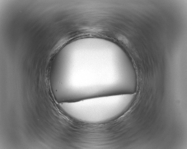 X0000066091354200603100952