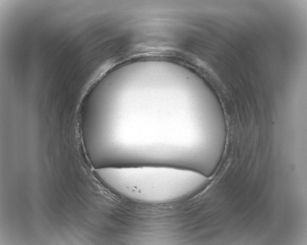 X0000066091362200603100952