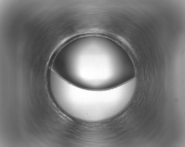 X0000066091364200603100952