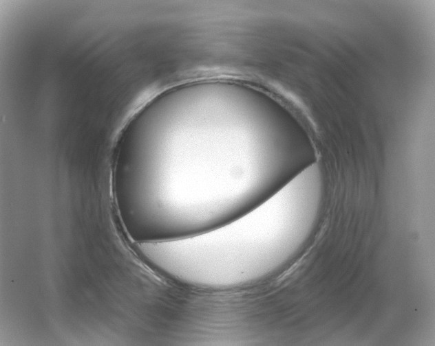 X0000066091365200603100952