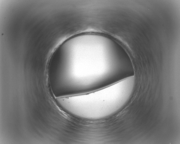 X0000066091367200603100952