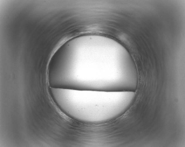 X0000066091370200603100952